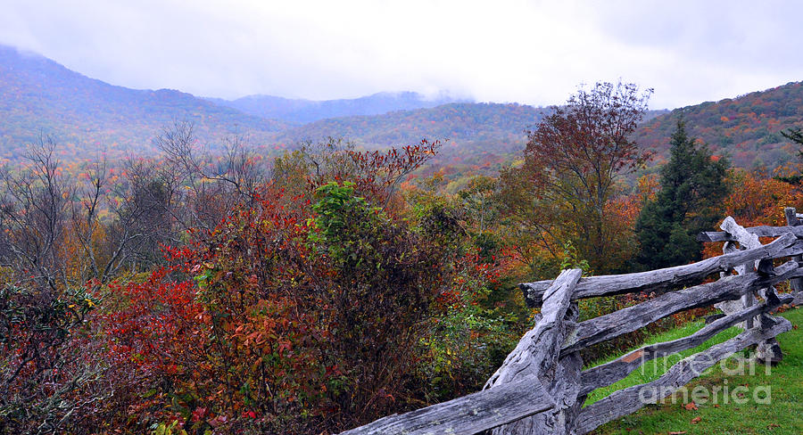 Mountain Photograph - Fences in Fall by Lydia Holly