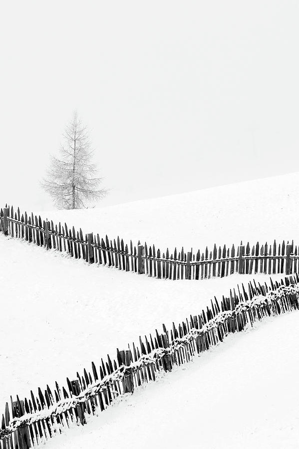 Black And White Photograph - Fences: Playing With Lines by Vito Miribung
