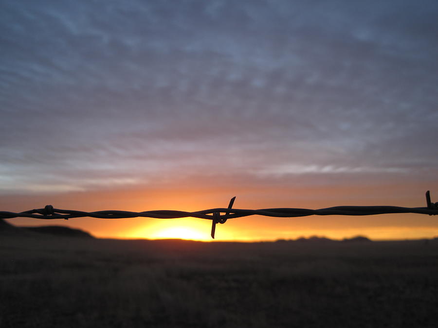 Fencing In The Sunrise Photograph