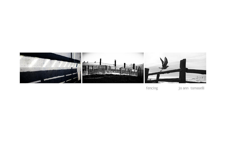 Fencing Triptych Image Art Photograph by Jo Ann Tomaselli