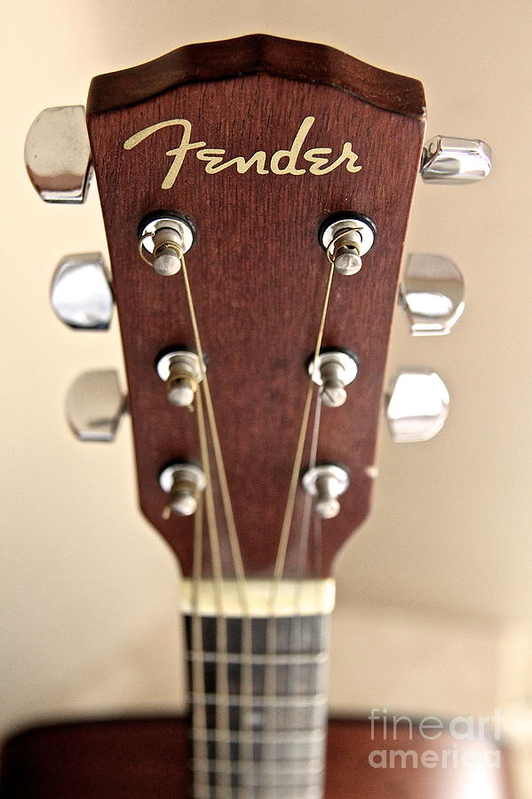 Fender Bender Photograph by Suzanne Oesterling