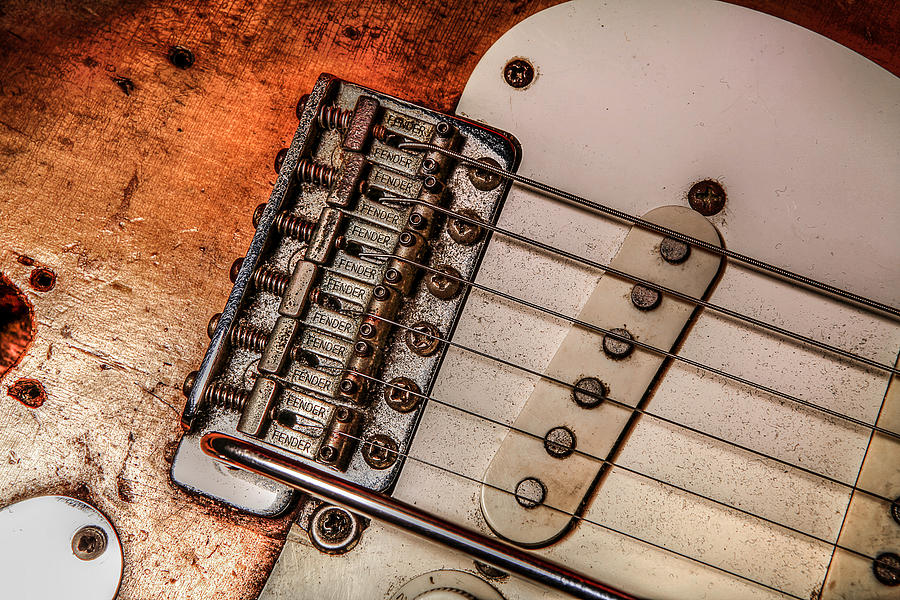 Fender Guitar Photograph by Ray Congrove