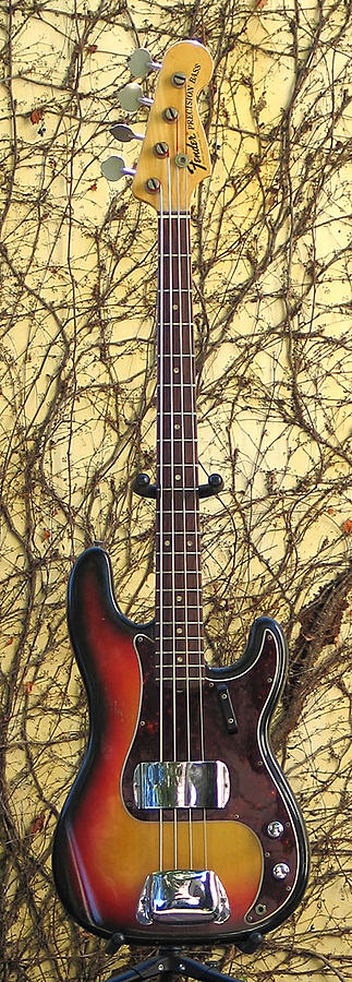 Bass Guitar Photograph - Fender Precision Bass 1968 by Phyllis Tarlow