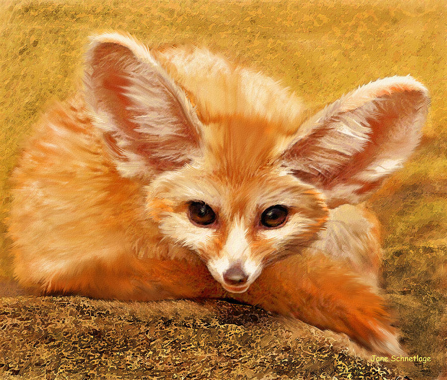 Fennec Fox Digital Art by Jane Schnetlage