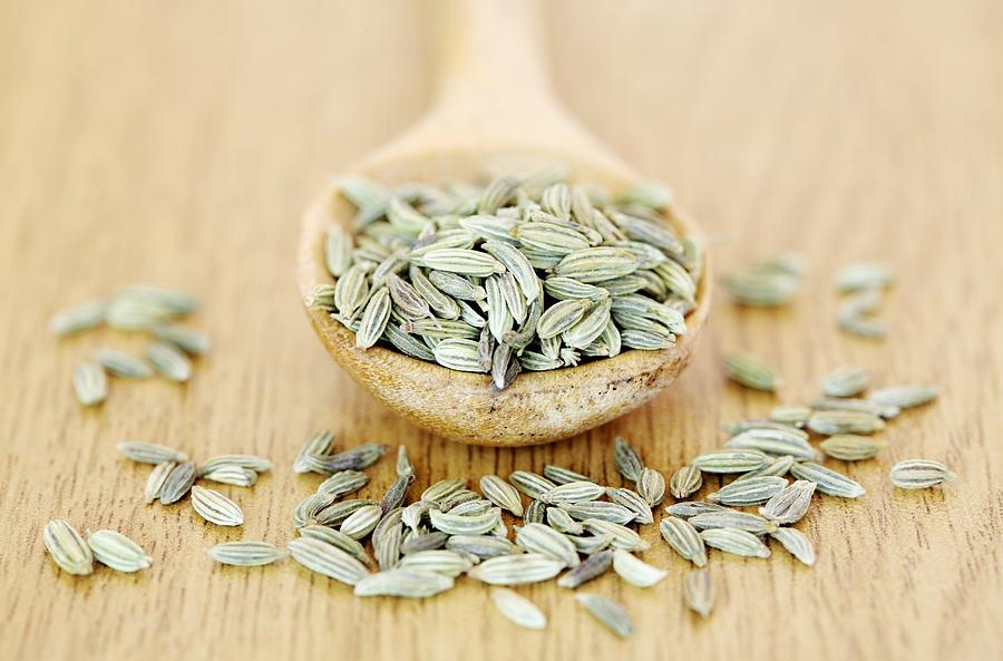 Fennel seeds Photograph by Dr Neil Overy