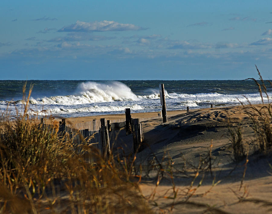 Fenwick Dunes and Waves Photograph by Bill Swartwout