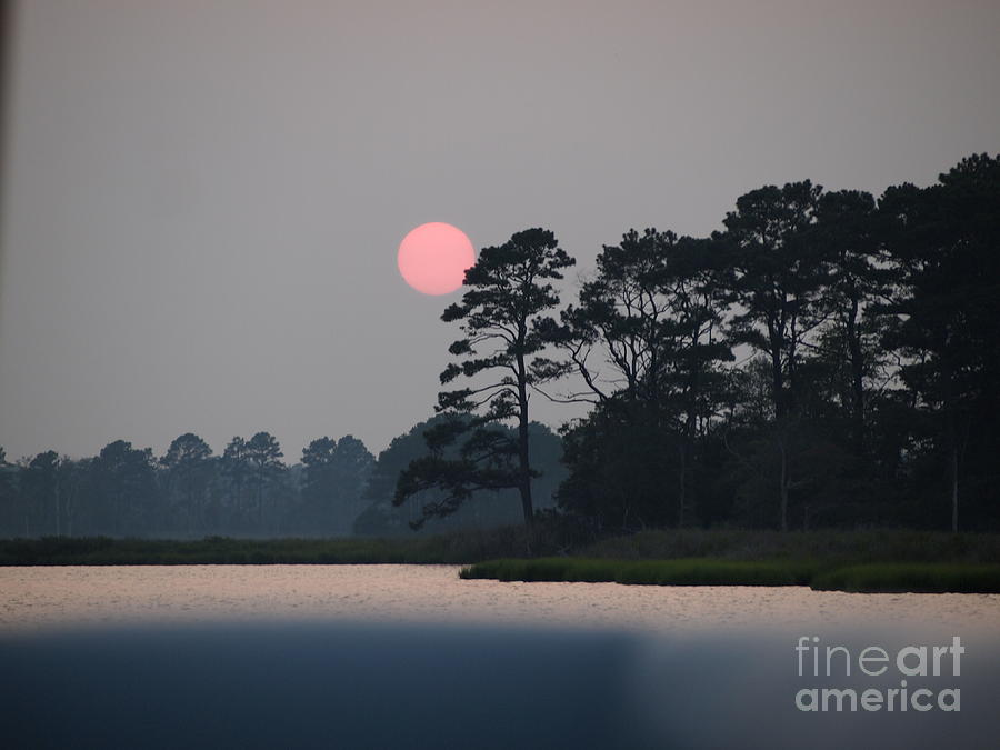 Fenwick Island Delaware Sunset Photograph by Jennifer Craft
