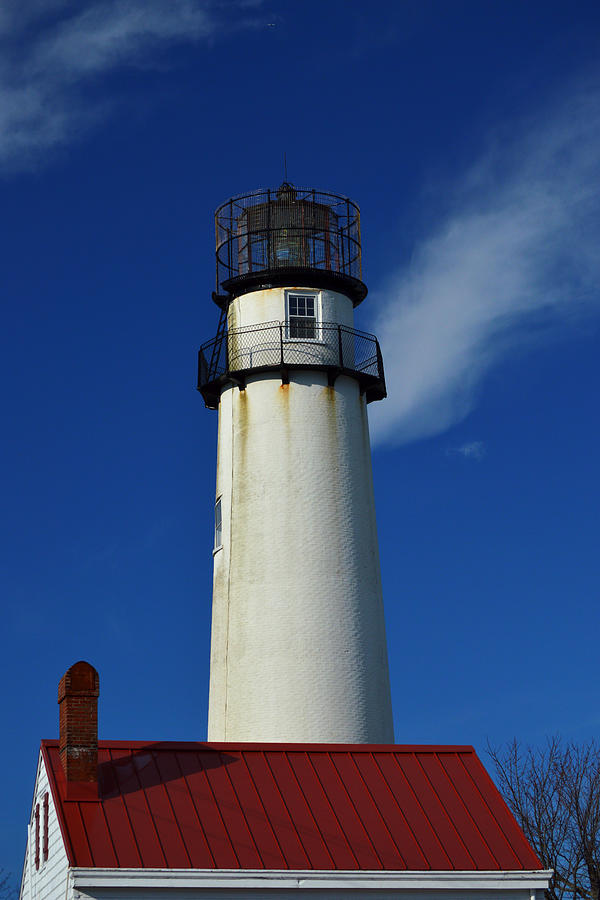 Fenwick Island Light Stands Tall Photograph by Bill Swartwout