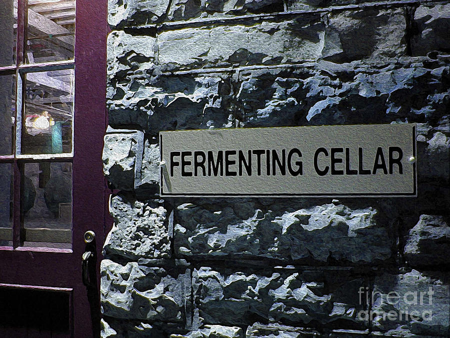 Fermenting Cellar Photograph by Nina Silver