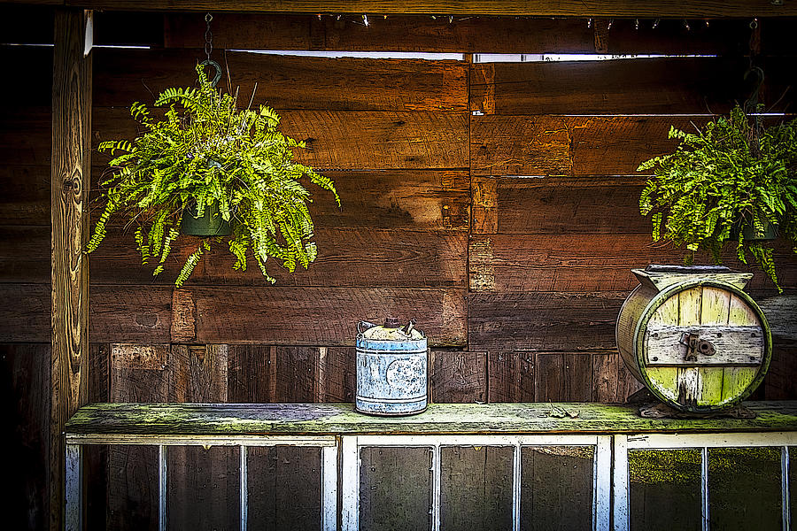 Fern Bar Photograph by Rich Franco