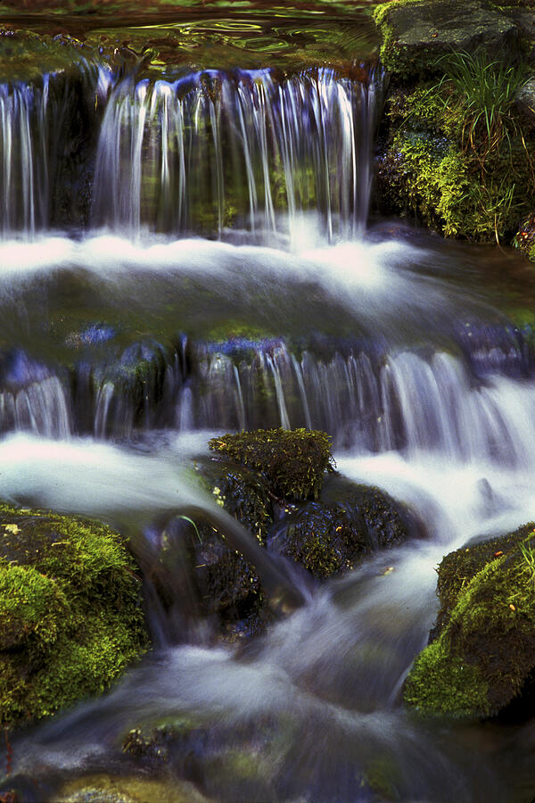 Yosemite National Park Photograph - Fern Falls - 31 by Paul W Faust -  Impressions of Light