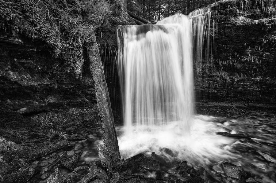 Fern Falls Black and White Photograph by Mark Kiver