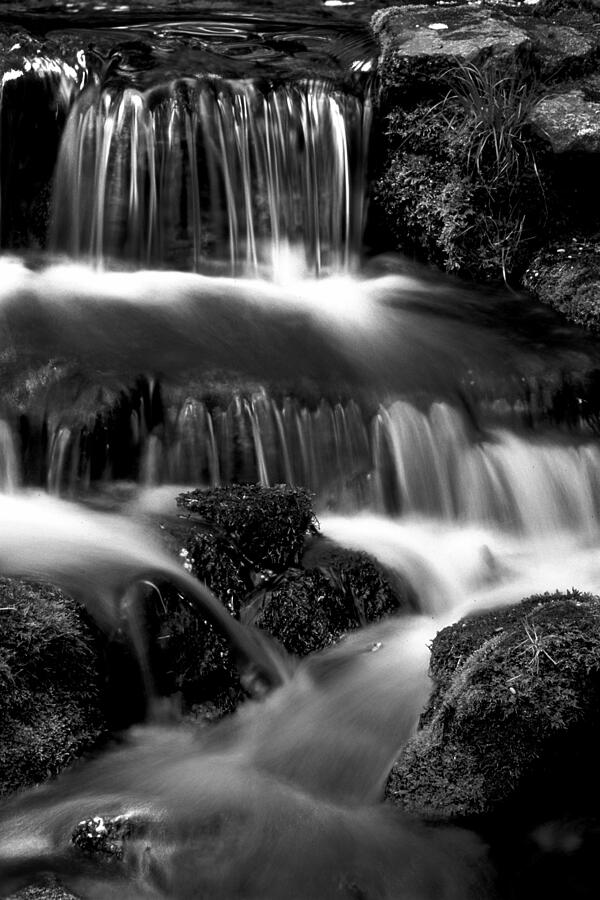 Fern Falls - BW Photograph by Paul W Faust -  Impressions of Light