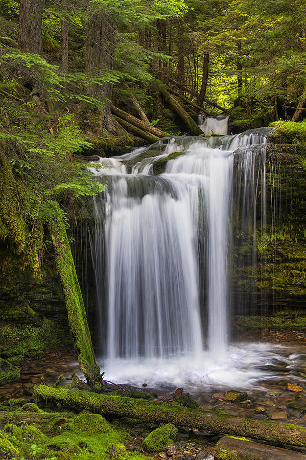 Fern Falls Photograph by Mark Kiver