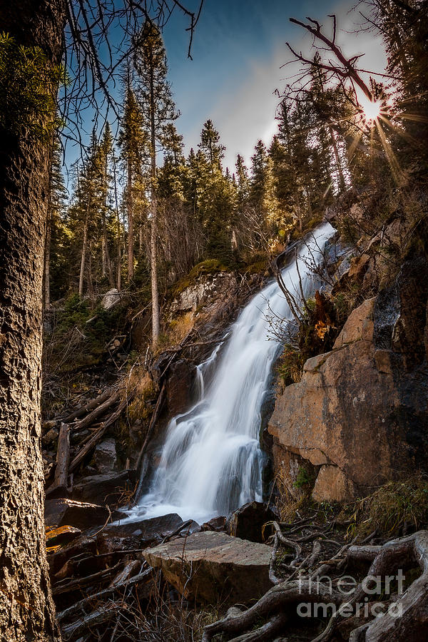 Fern Falls Photograph by Steven Reed
