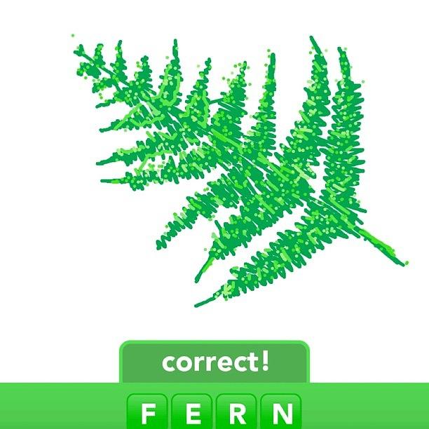 Draw Photograph - #fern #fernds #drawsomething by Michelle Cronin