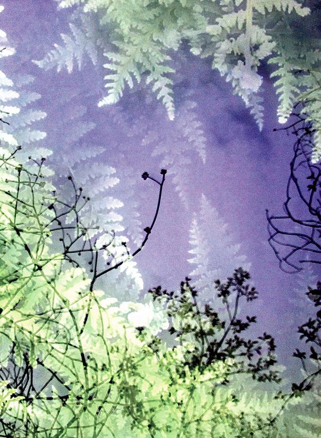 Nature Pastel - Fern forest by Lori Bourgault