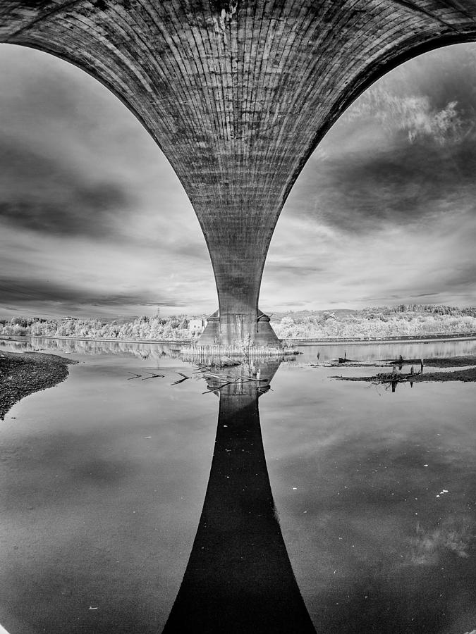Fernbridge Flowering in Black and White Photograph by Greg Nyquist