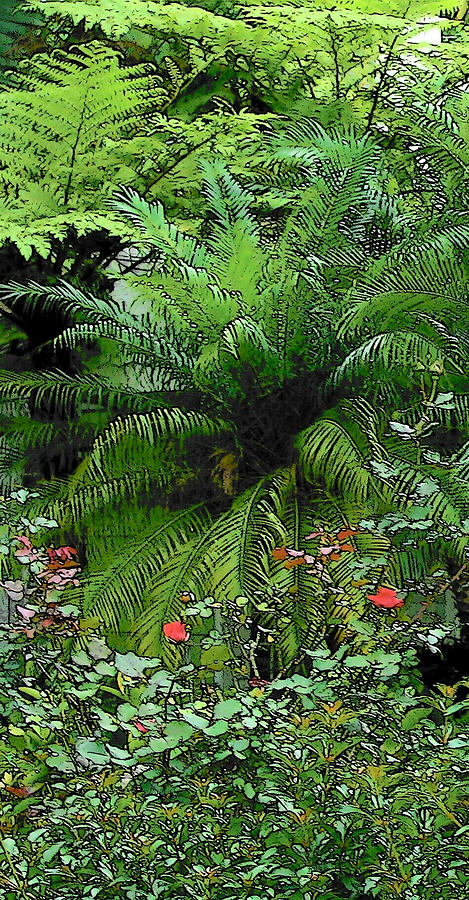 Ferns and  Roses Photograph by Strangefire Art       Scylla Liscombe