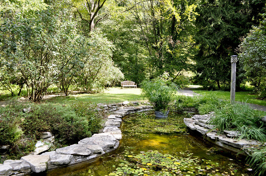 Fernwood Botanical Garden Frog Pond With Bench Niles Michigan Us Photograph