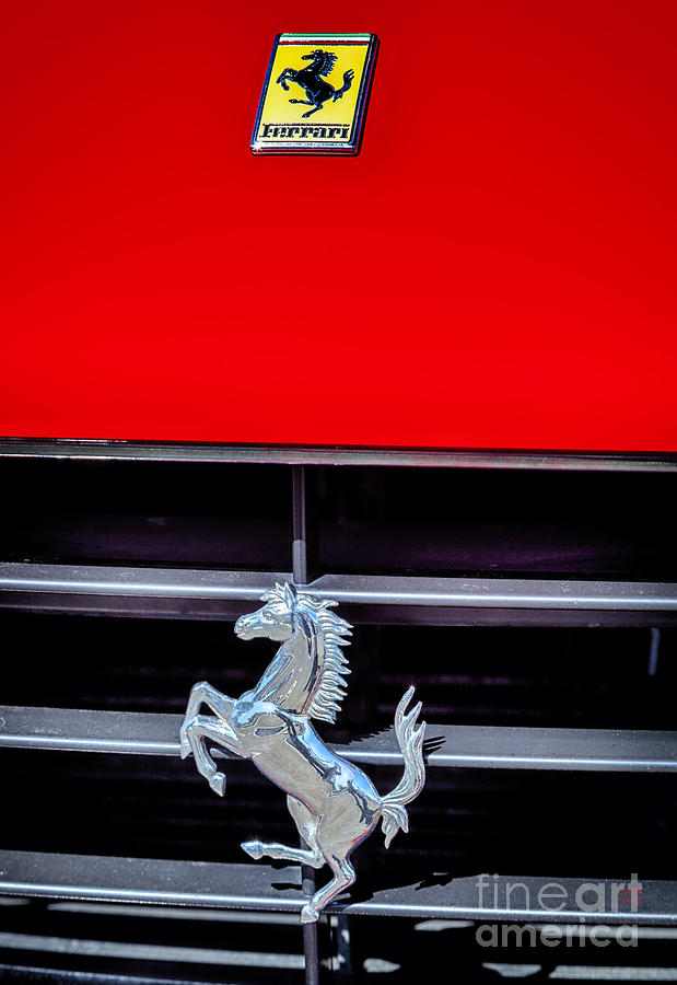 Ferrari Photograph by David Millenheft