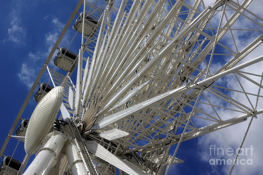 Ferris Wheel Photograph by Charline Xia