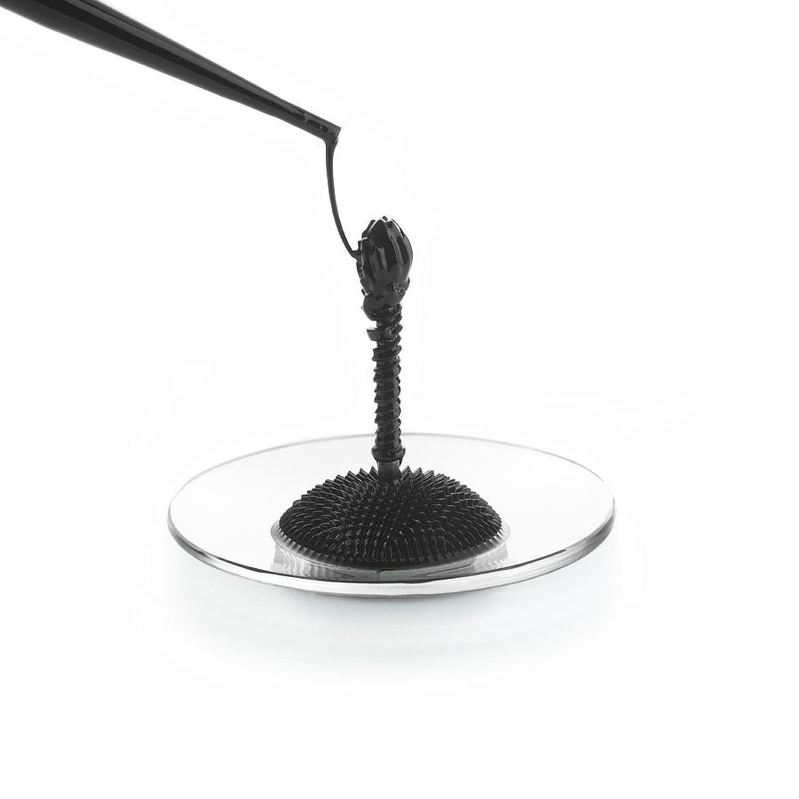 Ferrofluid And Bolt In A Field Photograph by Science Photo Library