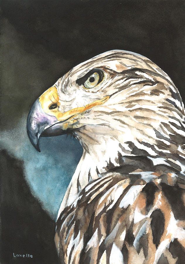 Ferruginous Hawk Painting by Kimberly Lavelle