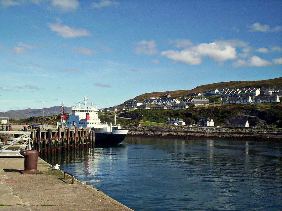 Seagull Photograph - Ferry in Mallaig Harbour Scotland by Bill Lighterness