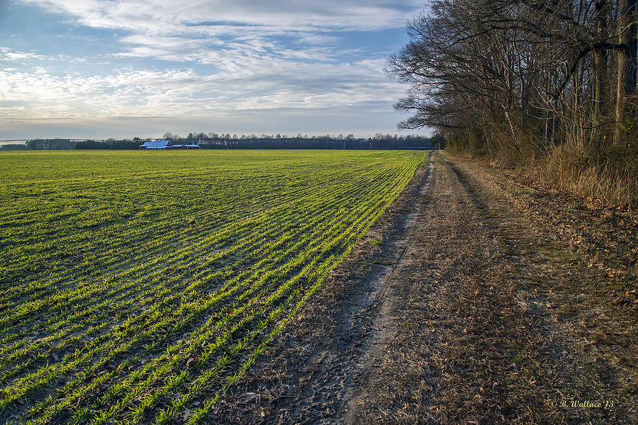 Fertile Ground Photograph by Brian Wallace Fine Art America