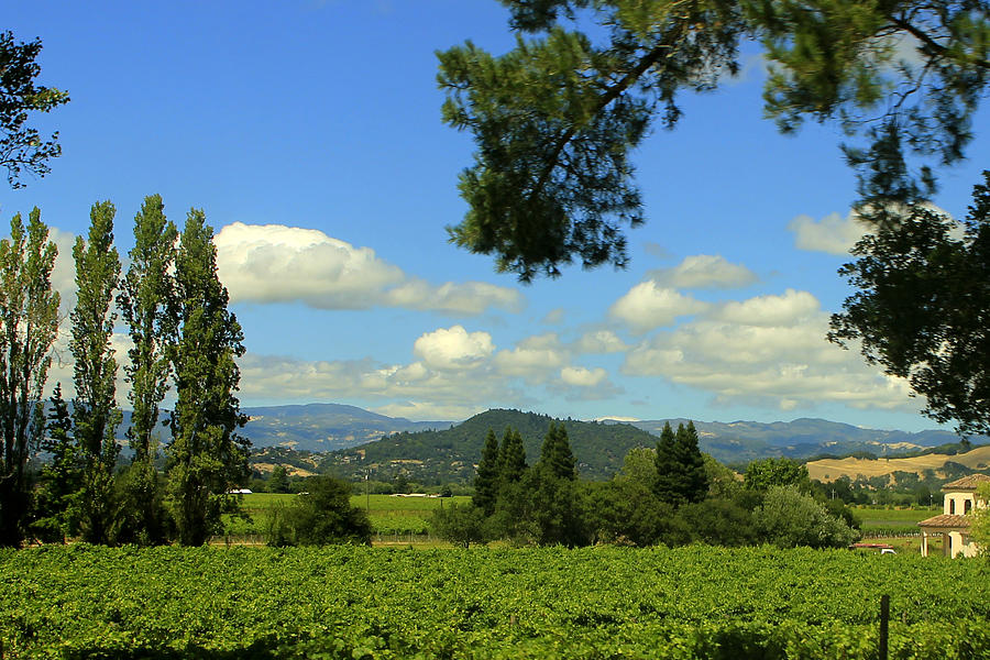 Fertile Valley Photograph by Pauline Darrow Pixels