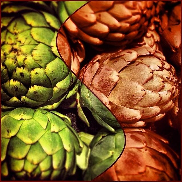 Artichoke Photograph - Festive Artichokes. #food #veggie by Colleen Paige