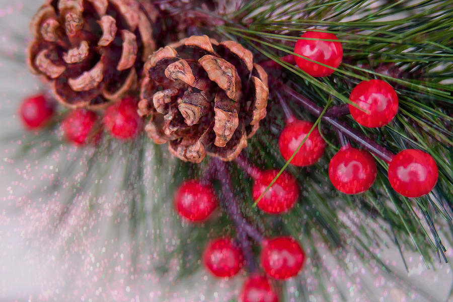 Festive Cones and Berries Photograph by Vanessa Thomas
