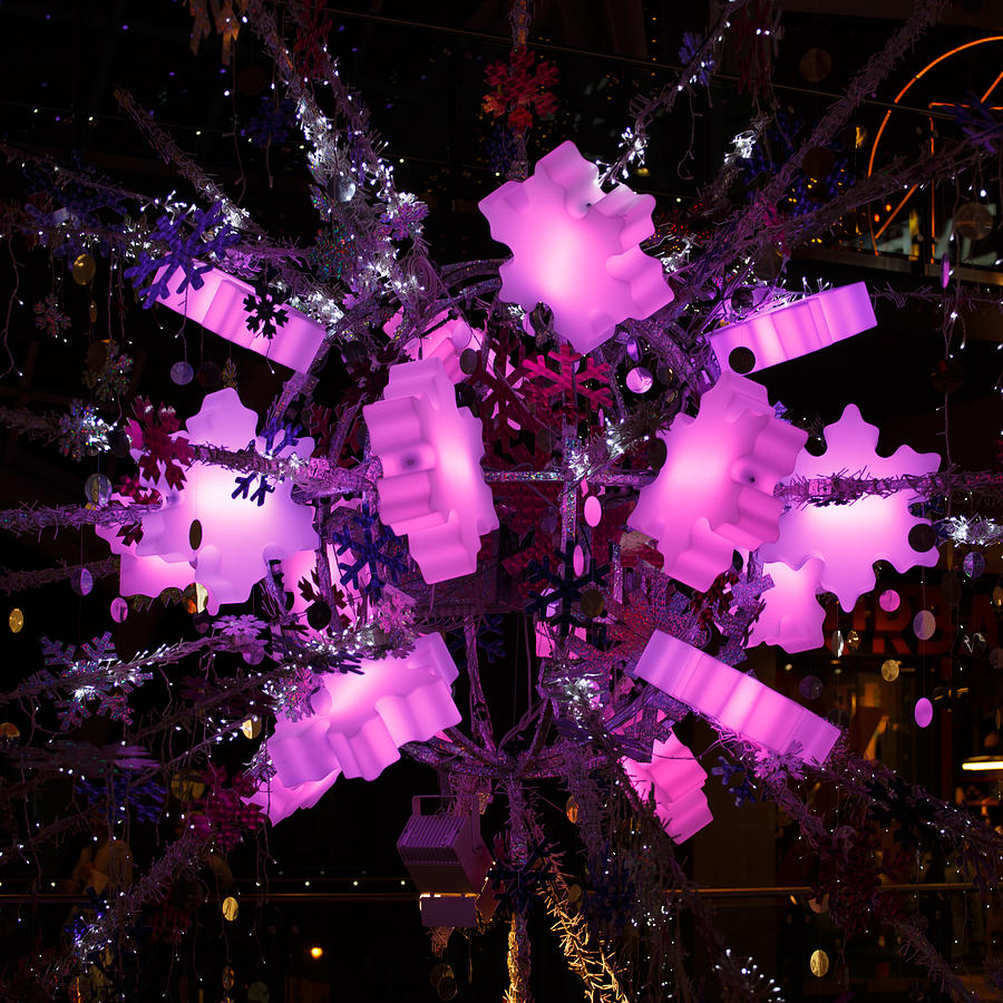 Trinity Photograph - Festive lights by Paul Indigo Trinity Photograph - Festive lights by Paul Indigo