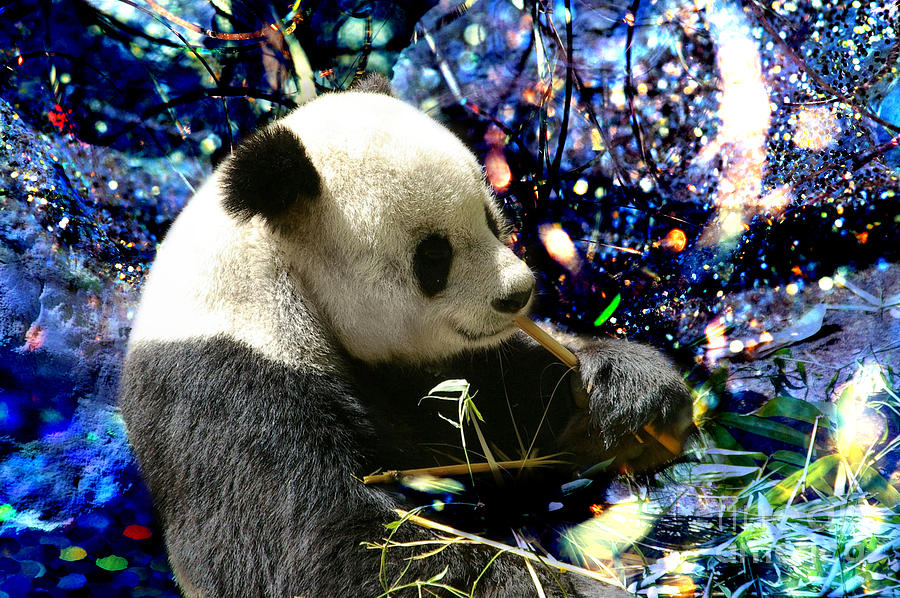 Wildlife Photograph - Festive Panda by Mariola Bitner