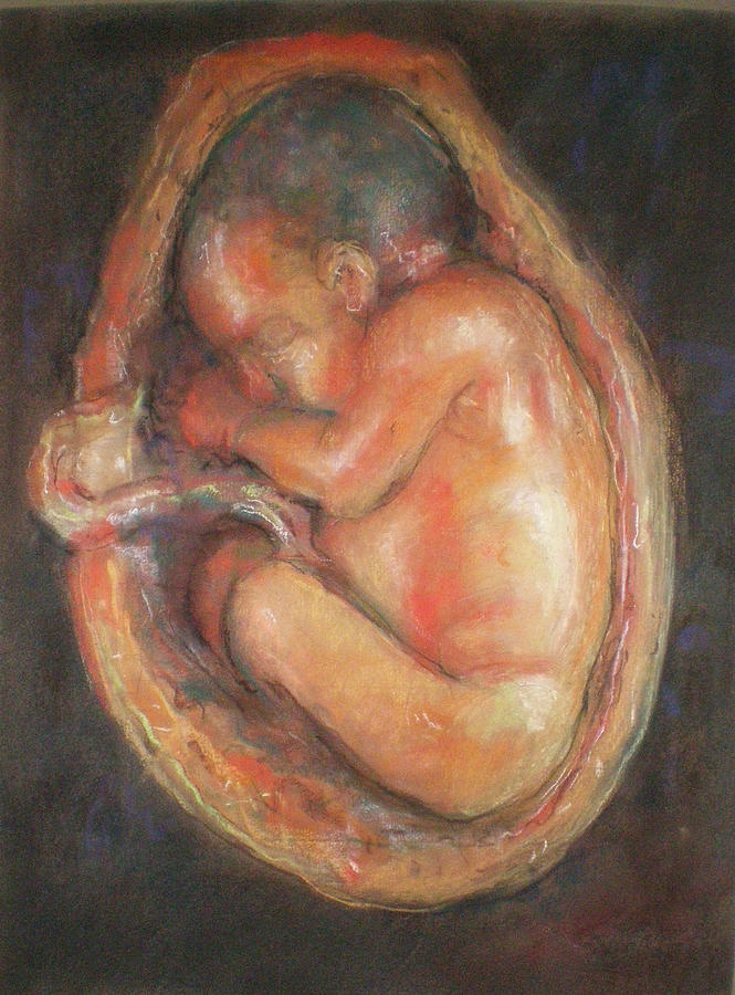 Fetus Drawing by Paez  ANTONIO