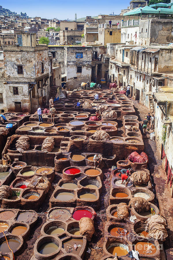 Fez tannery Photograph by Patricia Hofmeester