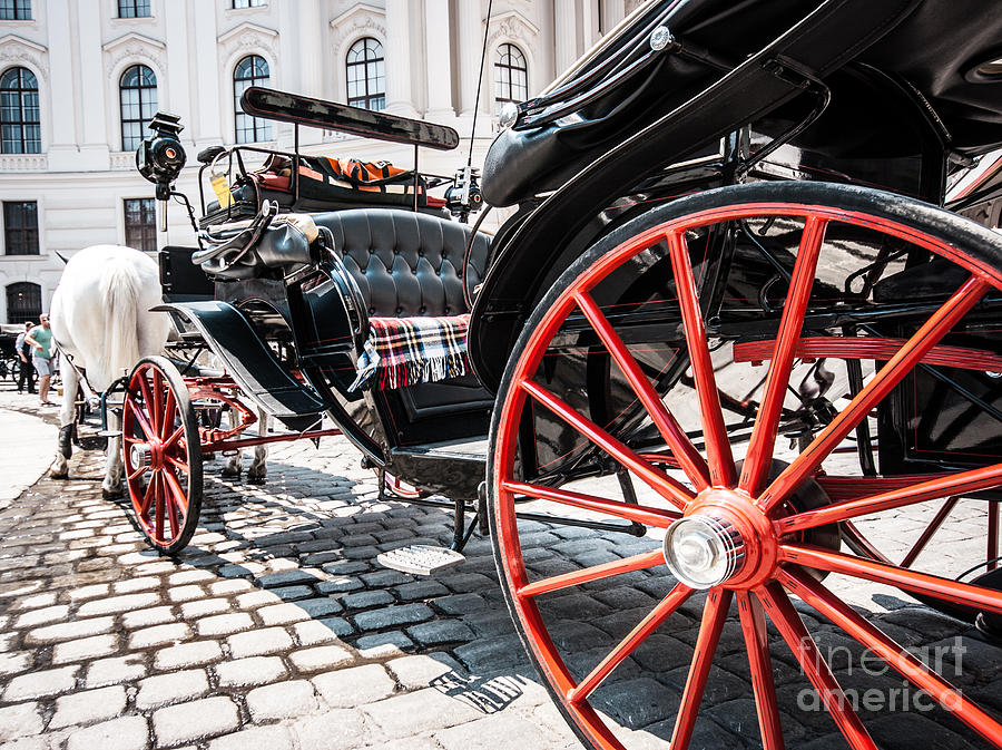 Fiaker carriage in Vienna Photograph by JR Photography