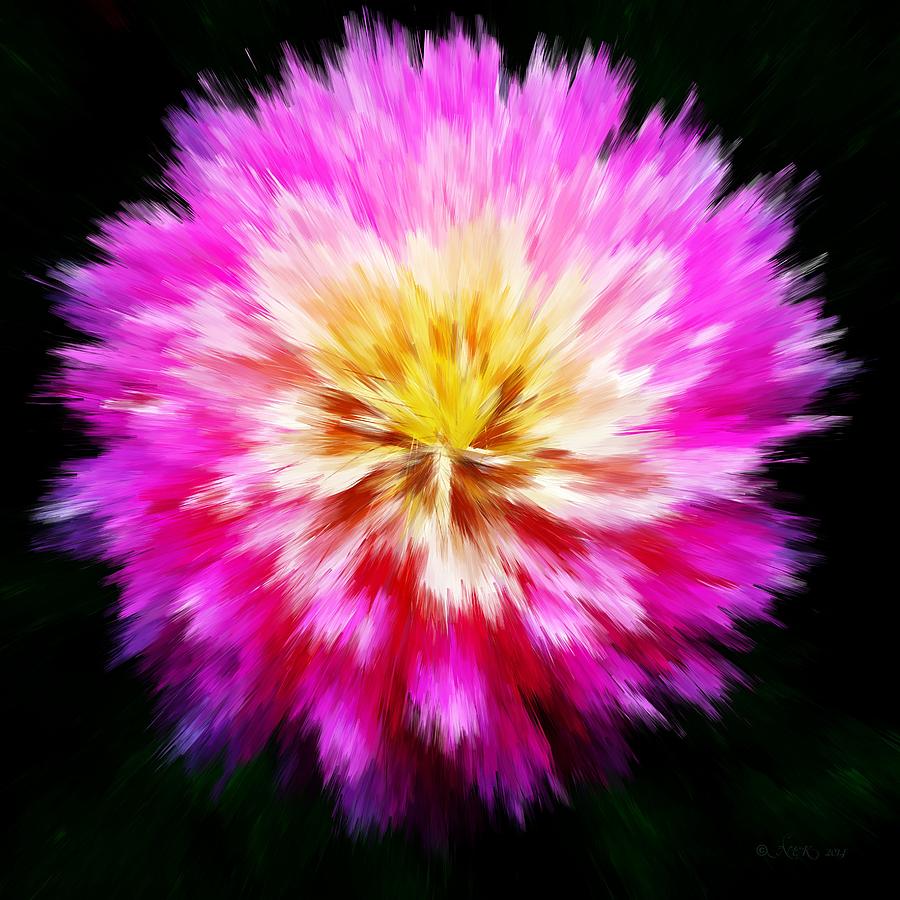 Flowers Still Life Photograph - Fiber Dahlia by Nick Kloepping