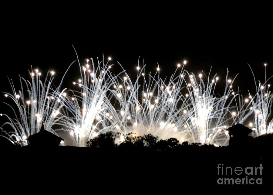 Fiber Optic Fireworks Photograph by Darla Wood