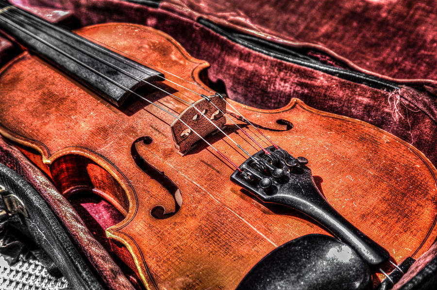 Fiddle Foto Photograph by Ray Congrove