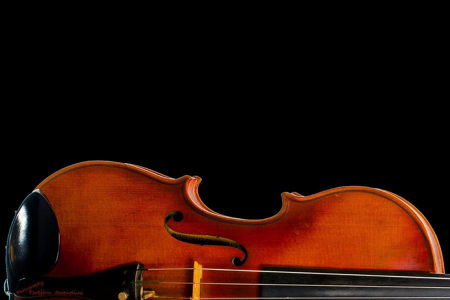 Fiddle Waist Photograph by Torbjorn Swenelius