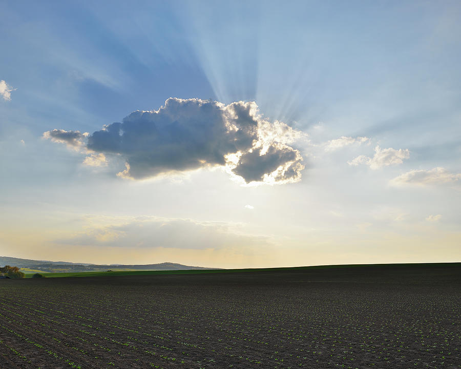 Field And Cloud Photograph by Raimund Linke
