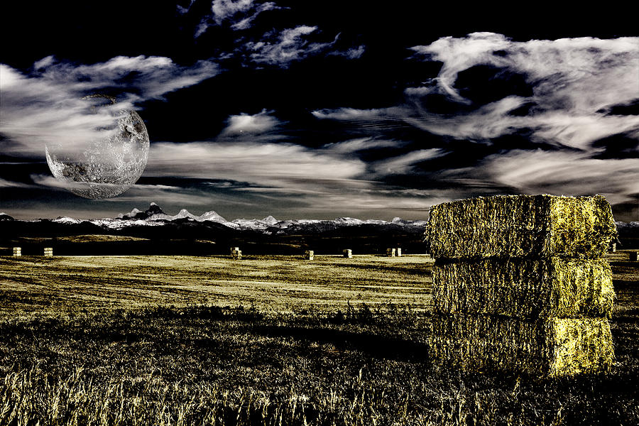 Field and hay Digital Art by Bruce Rolff
