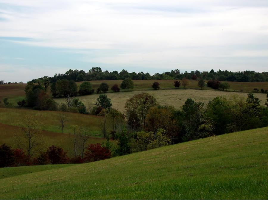 Field And Hills Photograph