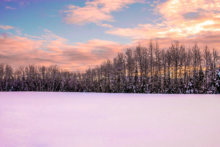 Winter Photograph - Field and Sky by Waylon  Wolfe