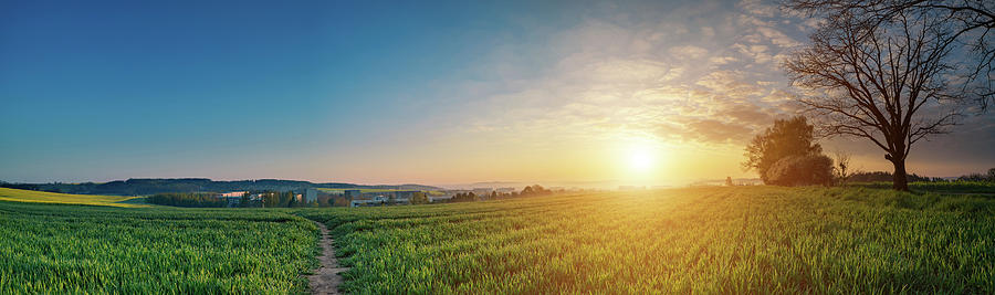 Nature Photograph - Field At Sunset by Wladimir Bulgar/science Photo Library