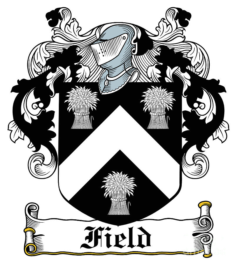 Field Digital Art - Field Coat of Arms I Irish by Heraldry