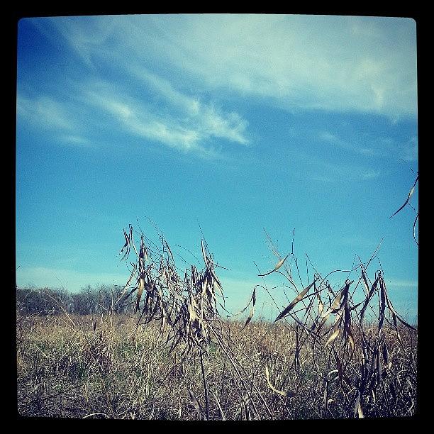 Field Photograph - #field #country #kansascity #clouds by Lexi Morelli