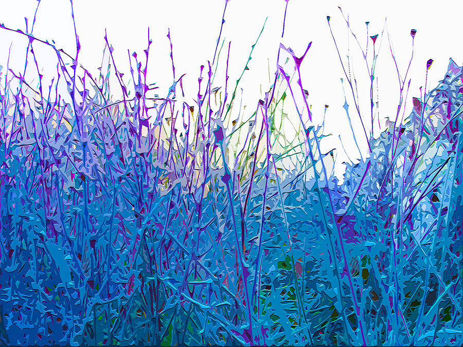 Field Frost Mixed Media by Brian Stevens